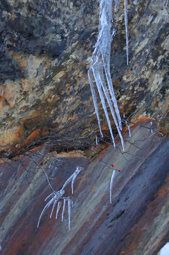 Дамские пальчики..