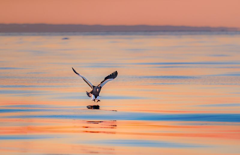 At Kunashir Island фото превью