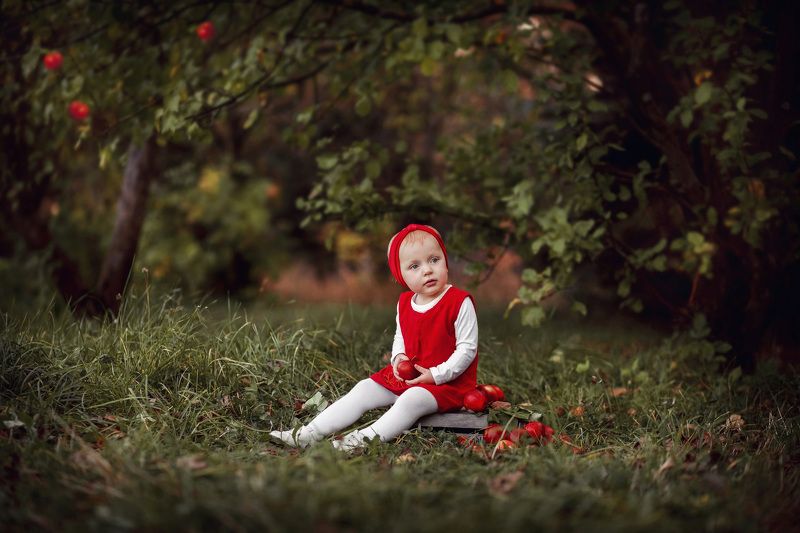 яблоки, сад, яблоневый, красный, портрет, ребенок, малыш, лето, урожай *** фото превью