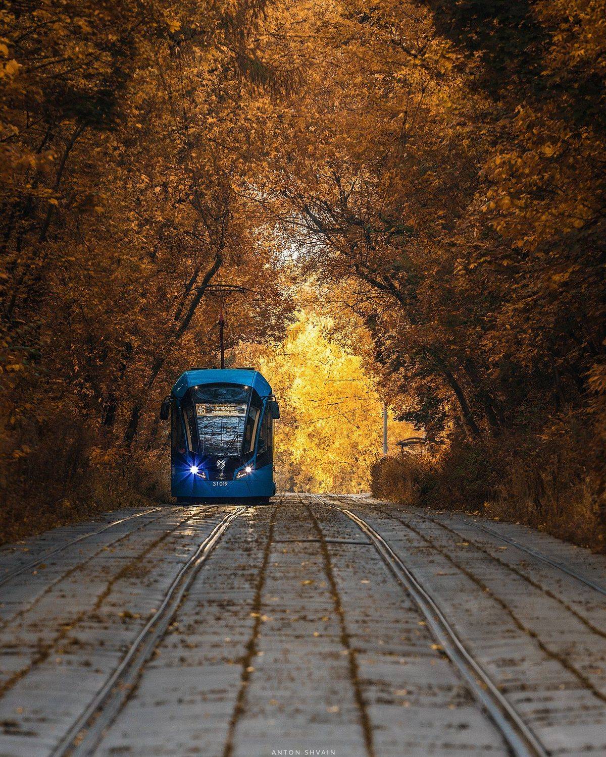 , Антон Шваин