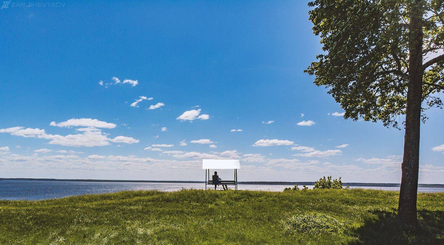 Поле,лес,природа,креативное фото,Профессиональное фото,Сергей Шевцов,Zap Shevtsov, Zapworld,zap-world,интересное,с неба,с дрона,высоко,яркое,цвета,необычное,угол,фото,профессиональная фотография, Sergey Shevtsov