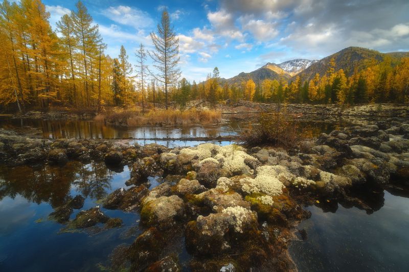 россия, бурятия, сибирь, окинский район, ока, природа, пейзаж, осень, долина, река, лава, тайга, закат, отражение, заход солнца Бурятия фото превью