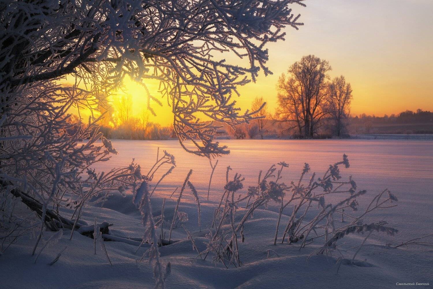 зима, закат, вечер, мороз, иней., Смольский Евгений