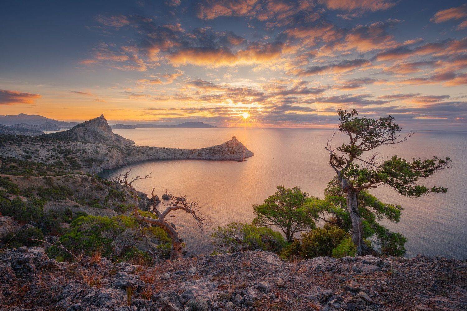 , Александр Костенко