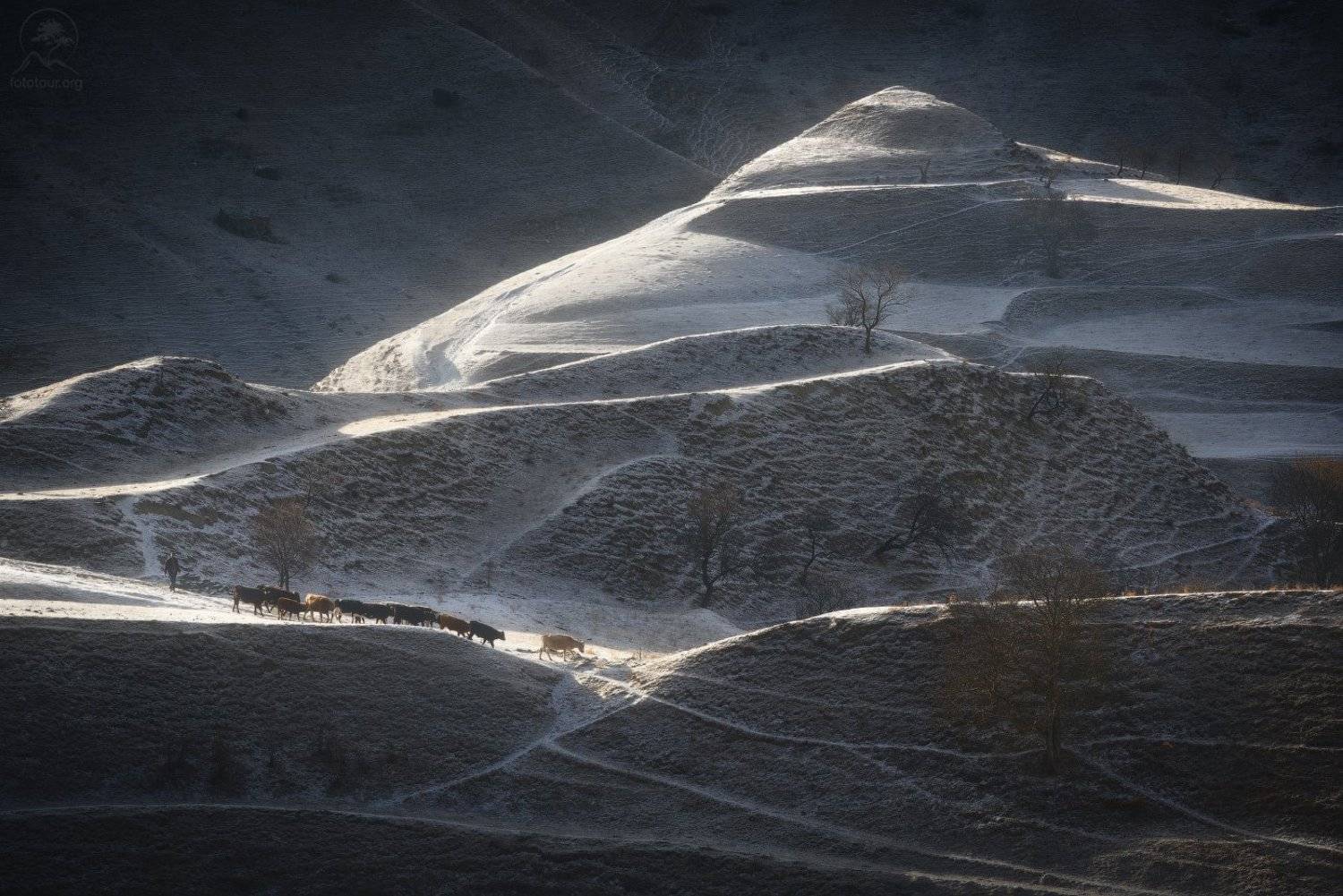 дагестан, утро, стадо, пастух, Анатолий Гордиенко