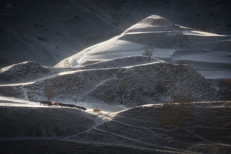 У каждого своя работа фото превью