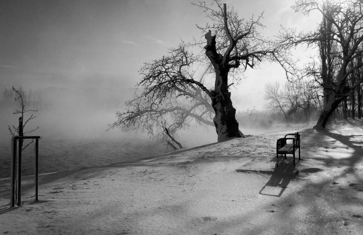 зима. туман река, Алексей Рыльский