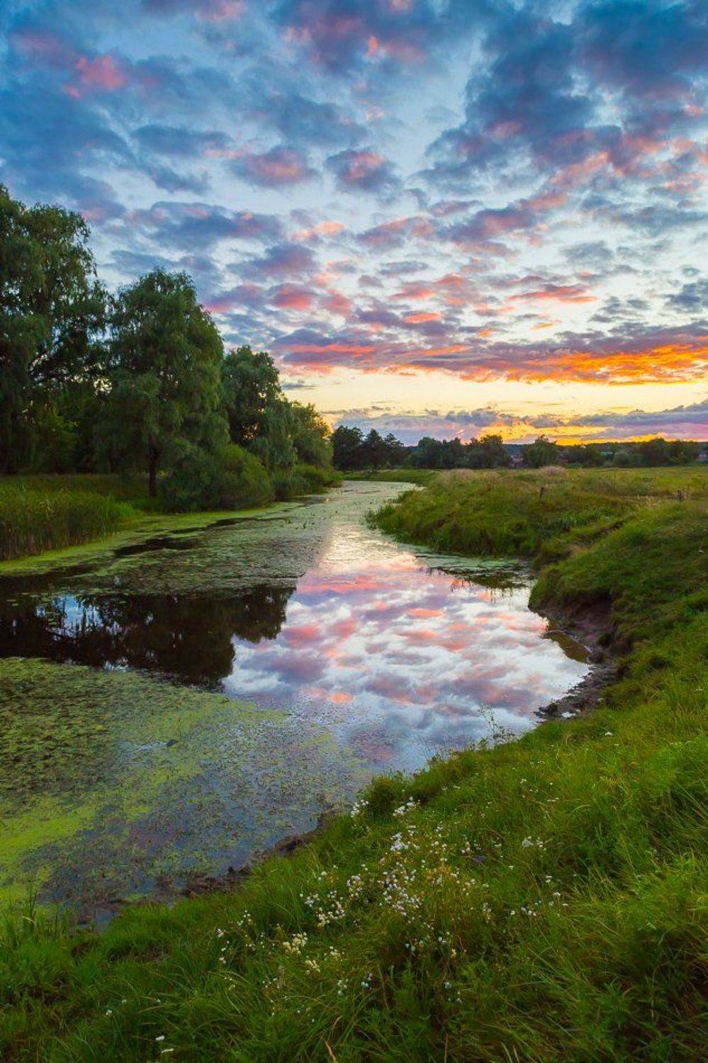 , Александр Подрез