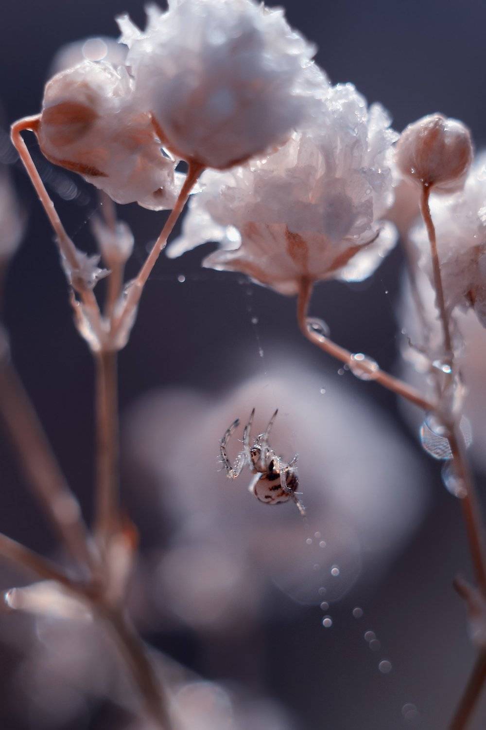 , Воинкова Ирина