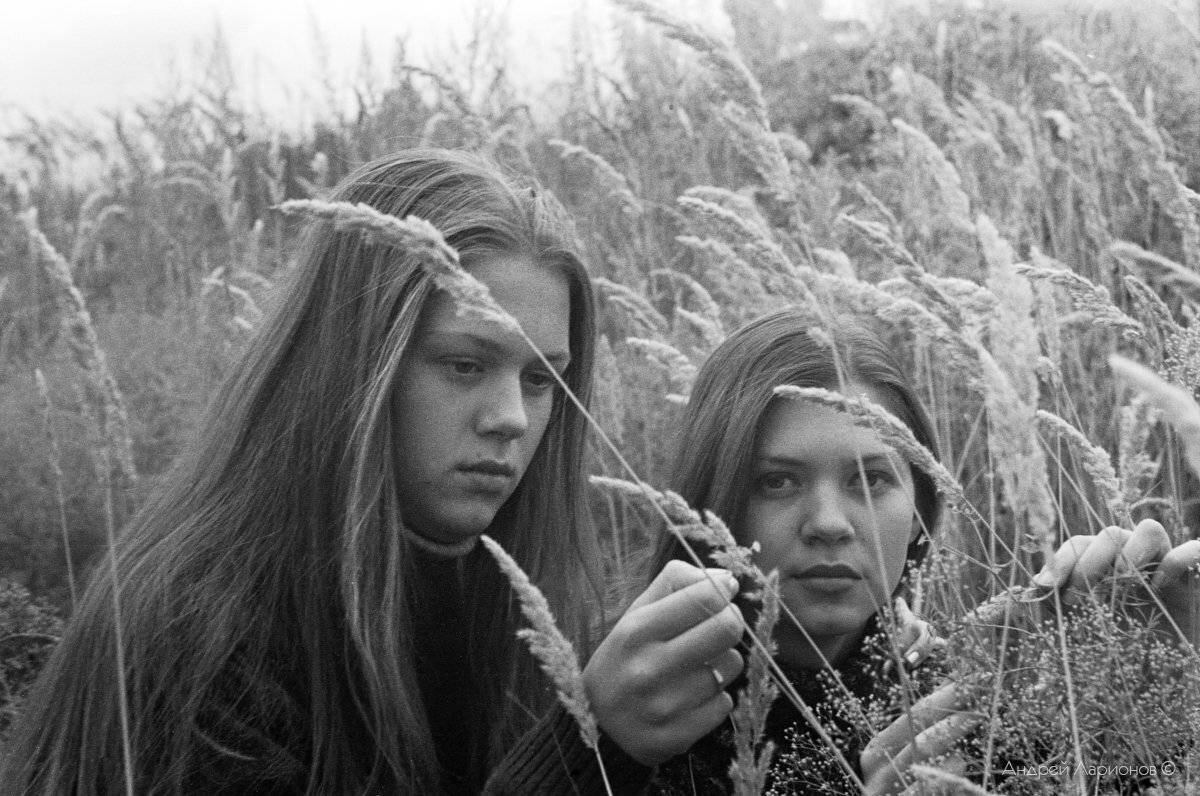 портрет, девушка, лето, трава, Андрей Ларионов