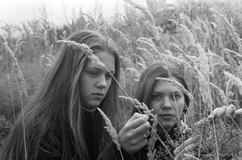 портрет, девушка, лето, трава Сёстры фото превью