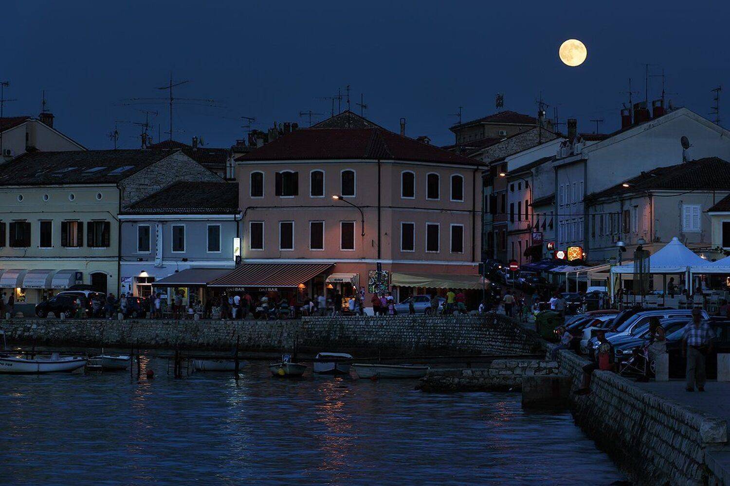 , Игорь Дубровский