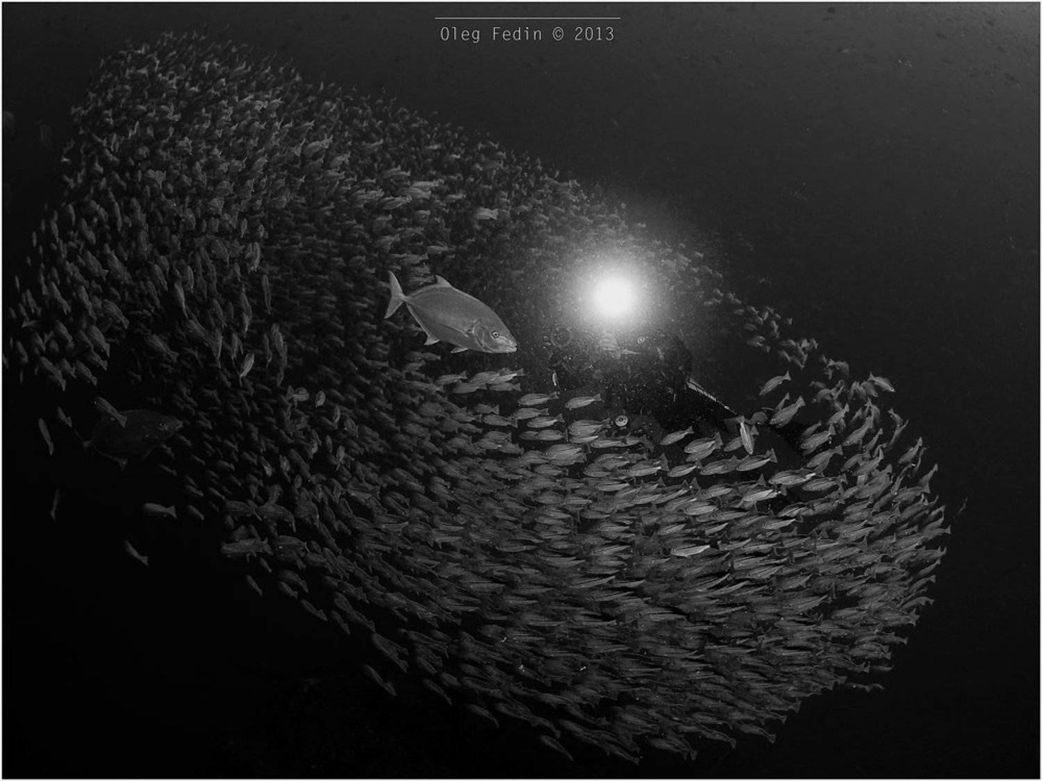 Diving, Kho Phangan, Sail Rock, Thailand, Underwater photography, Дайвинг, Остров Панган, Подводная фотография, Таиланд, Олег Федин