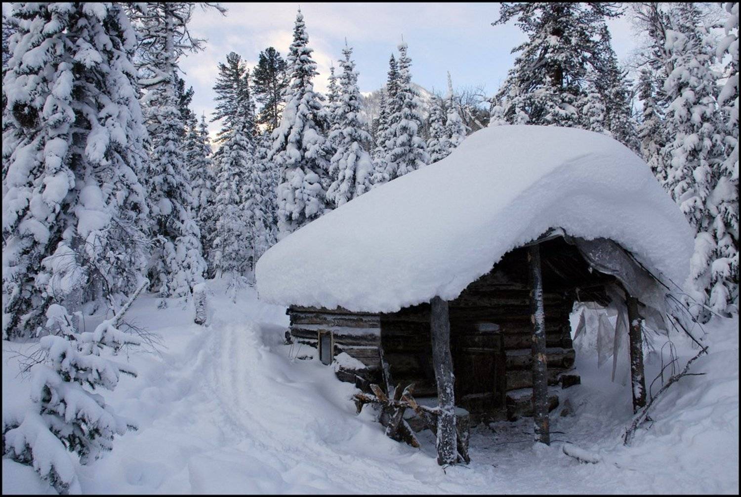 , Владислав Д.