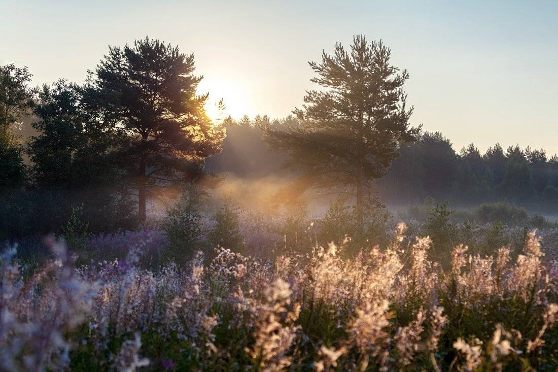 , Дара Пилюгина