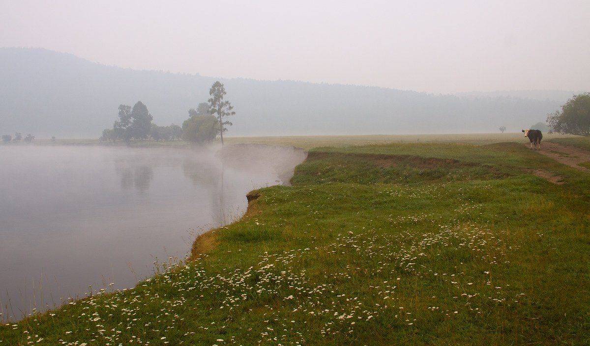 , Николай Морский