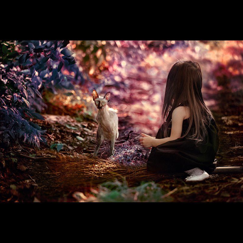 фото превью