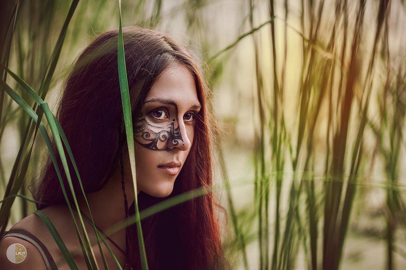 Сказки леса фото превью