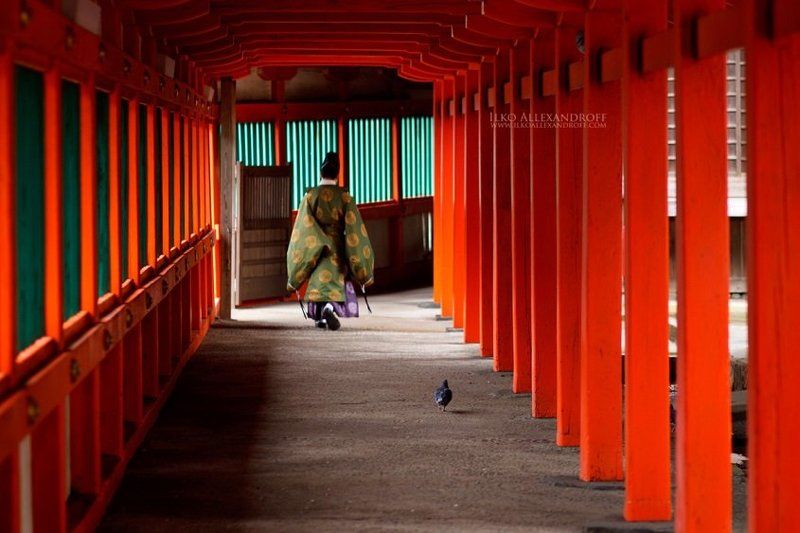 Red Temple фото превью