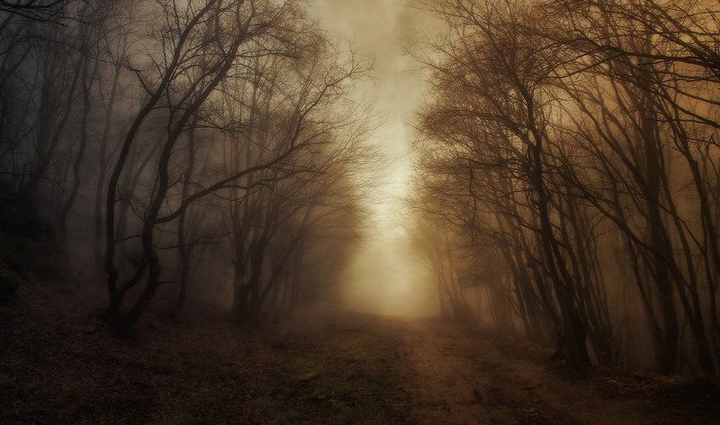 Сон фото превью