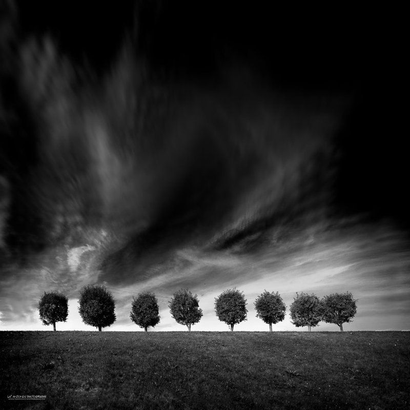 Eight фото превью