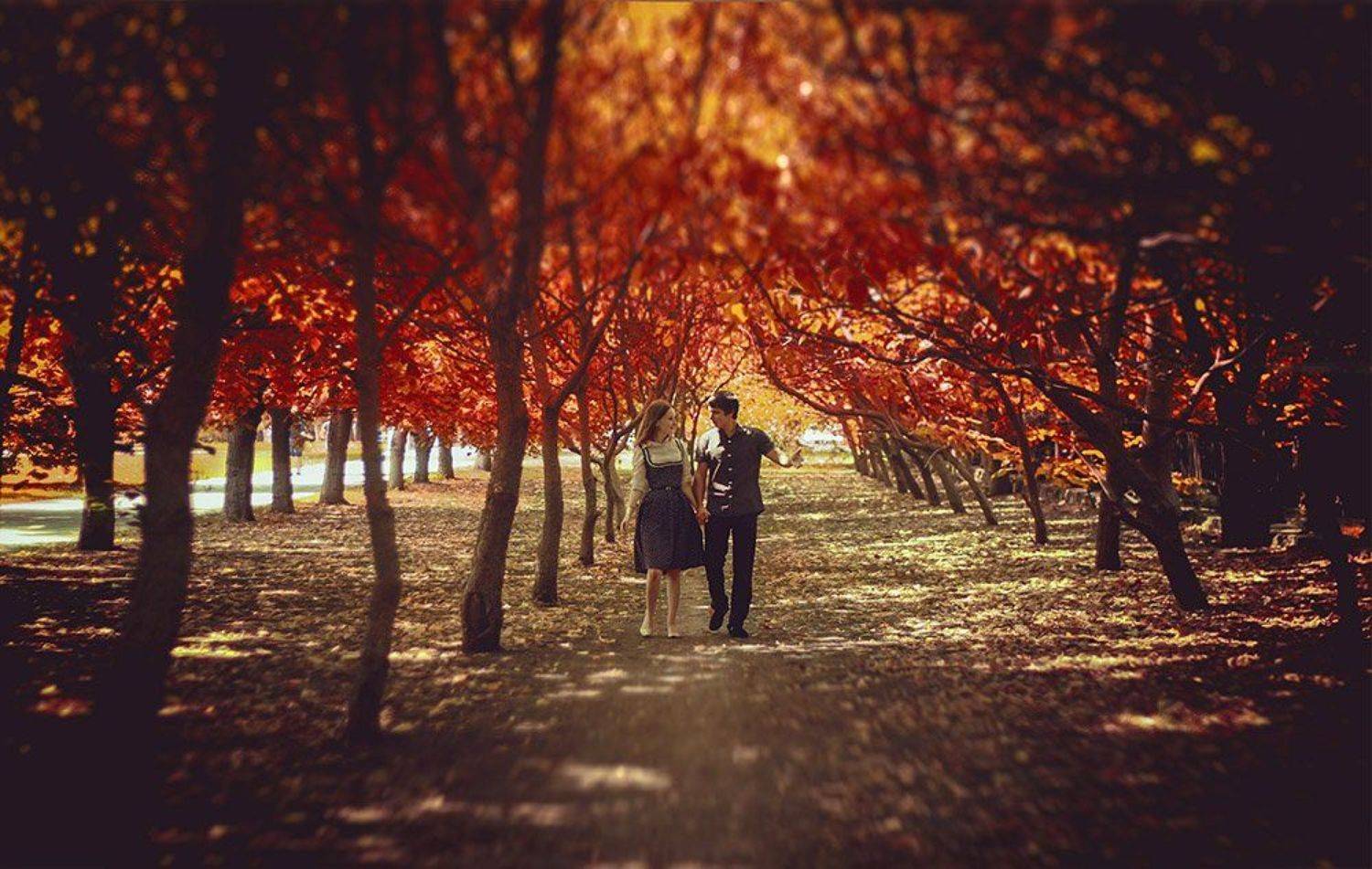 , Шульга Екатерина