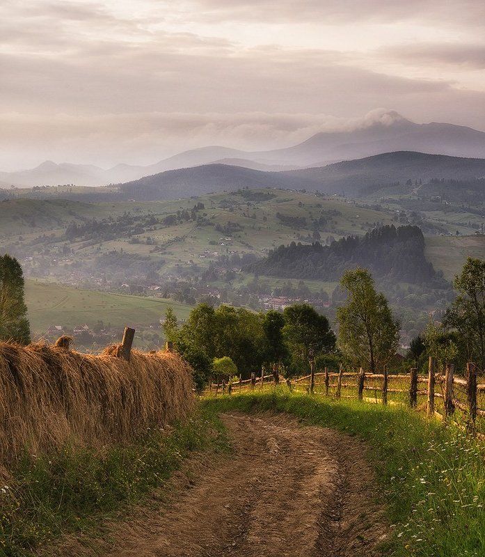Горы, Карпаты, Украина *** фото превью