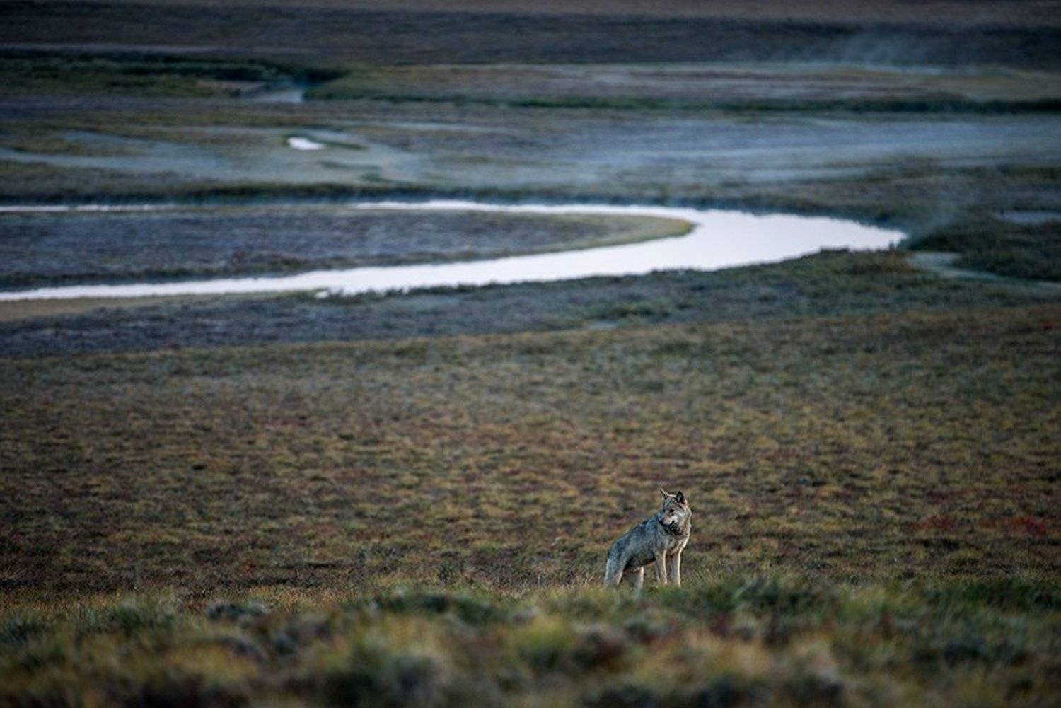 , Иван Кислов