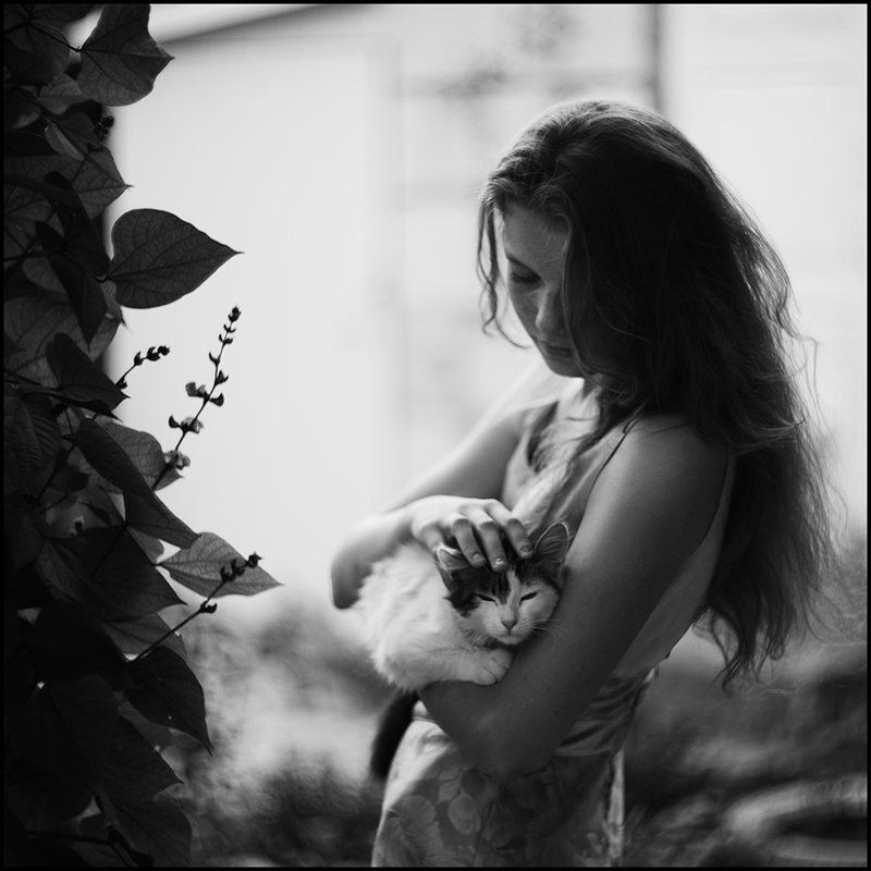 *** фото превью