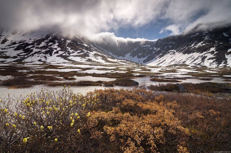 На празднике Весны фото превью