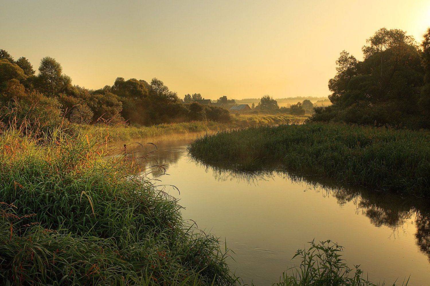 , Александр Аседач