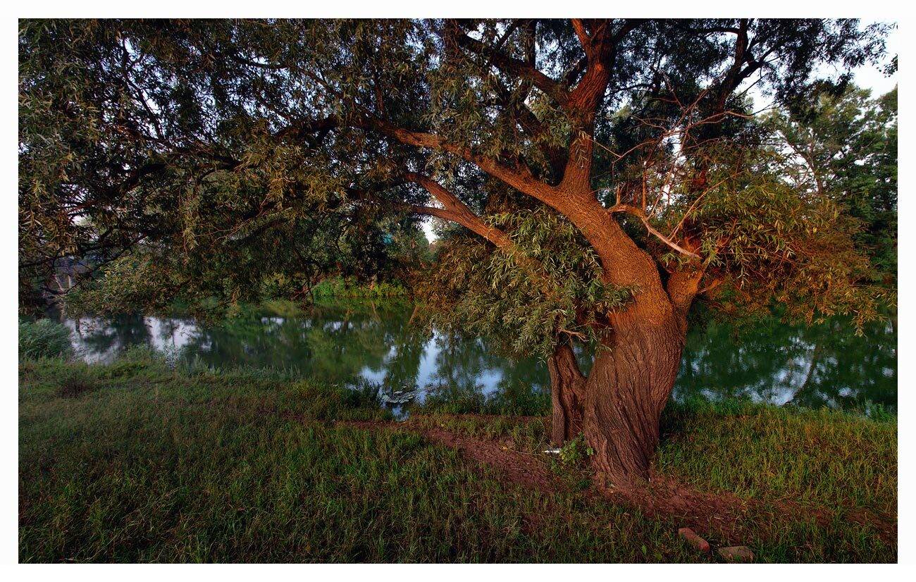 , Владимир Ляпин