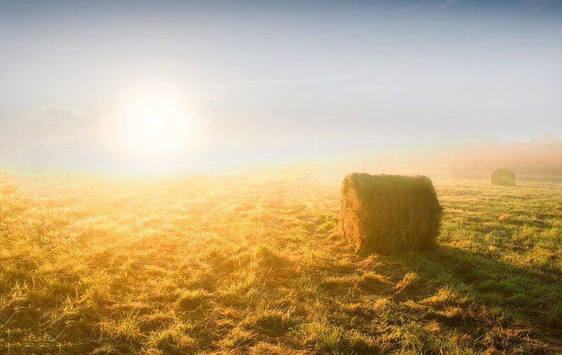 hay bales фото превью