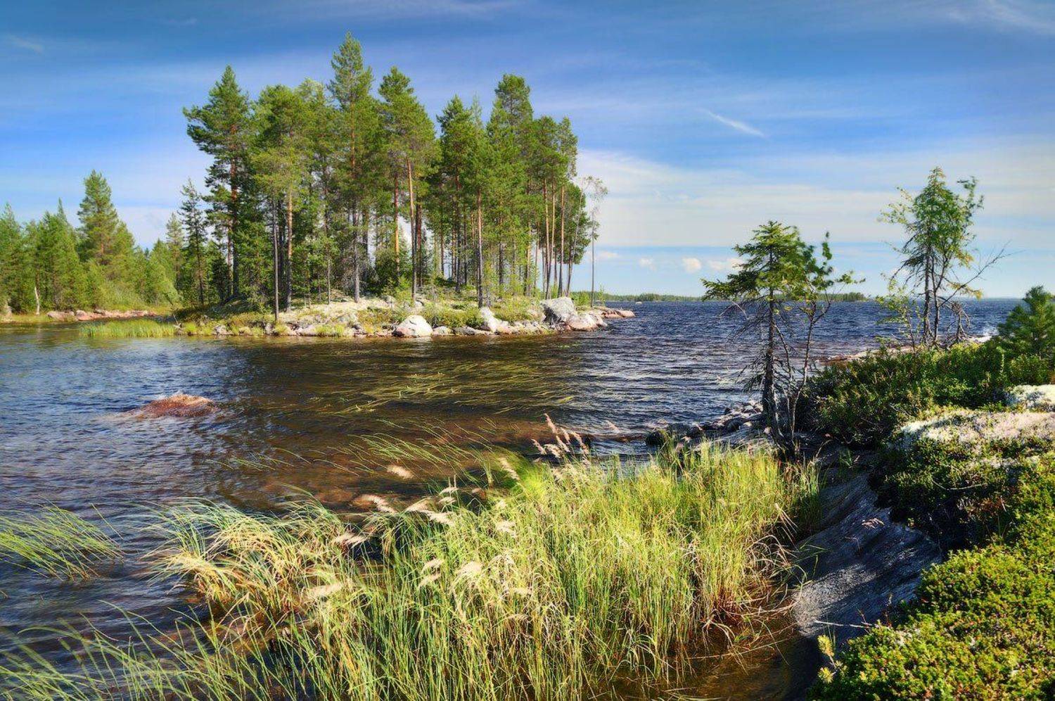 , Михаил Псарёв