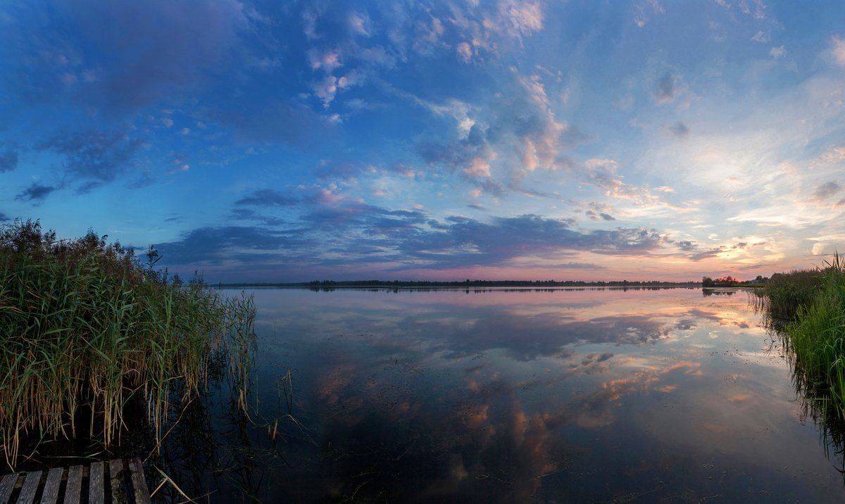 , Дара Пилюгина