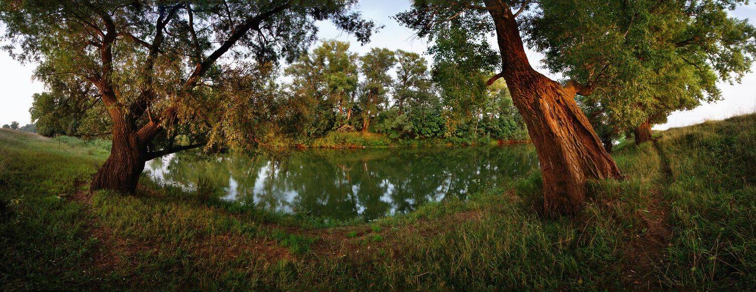 , Владимир Ляпин