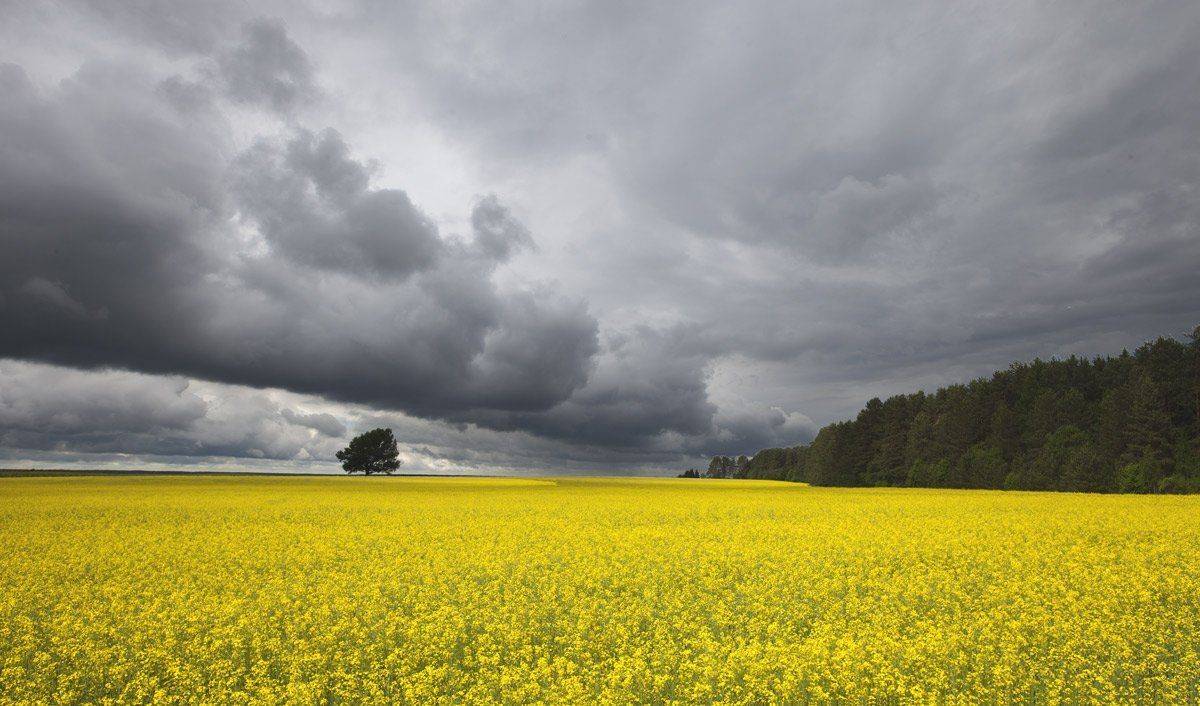 , Валерий Кондратов