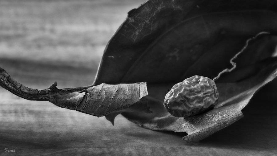 , Юрий Юшваев