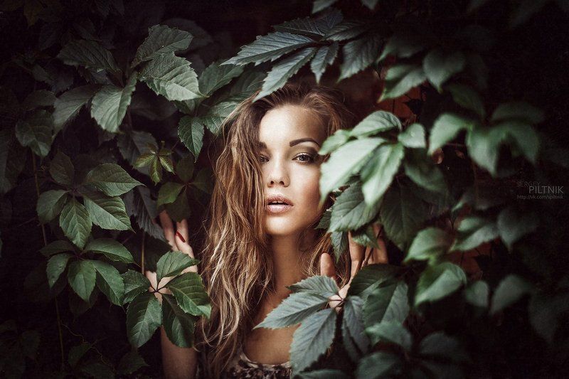 Set Me Free фото превью