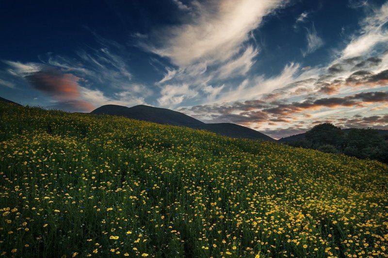 Coloured Mountains фото превью