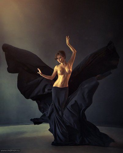 black butterfly