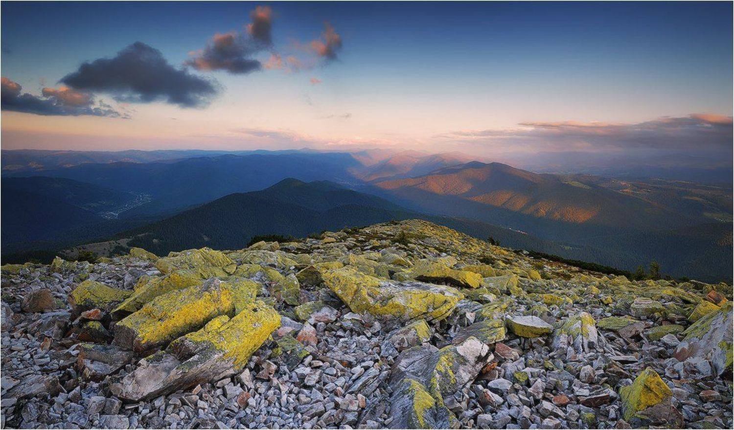 , Денис Кривой