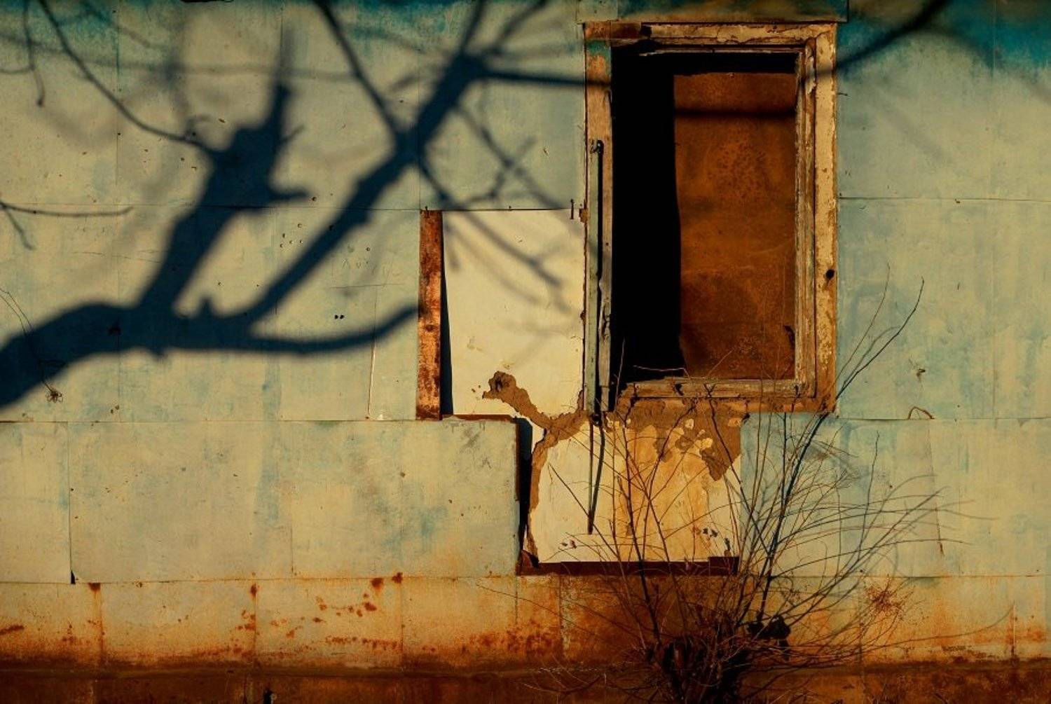 , Сюзанна Шевченко