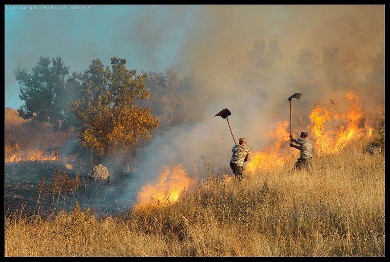 О степных пожарных фото превью