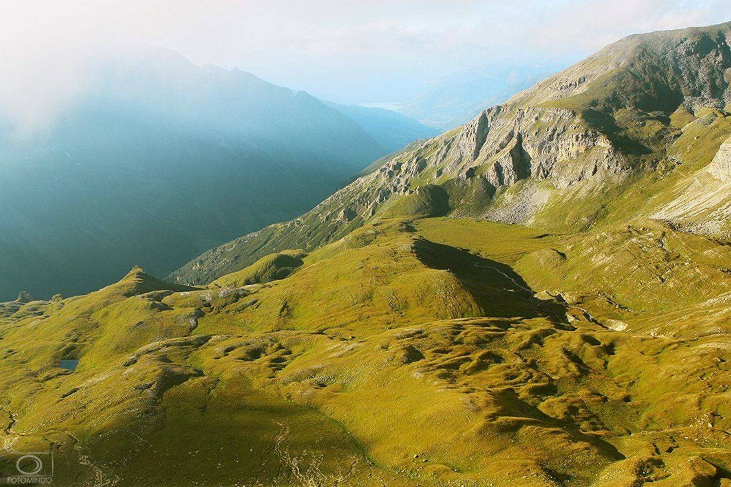 , Mindaugas Navickas