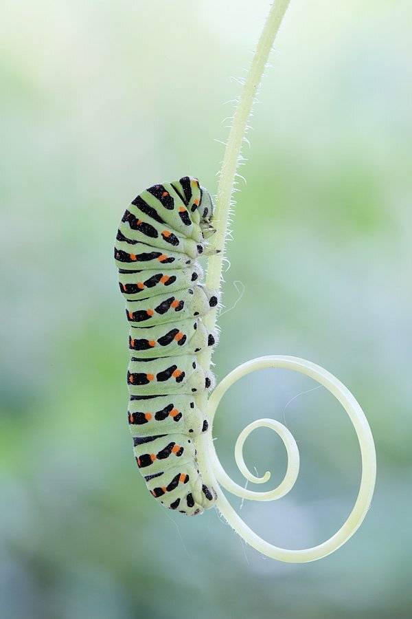 , Сергей Таланов