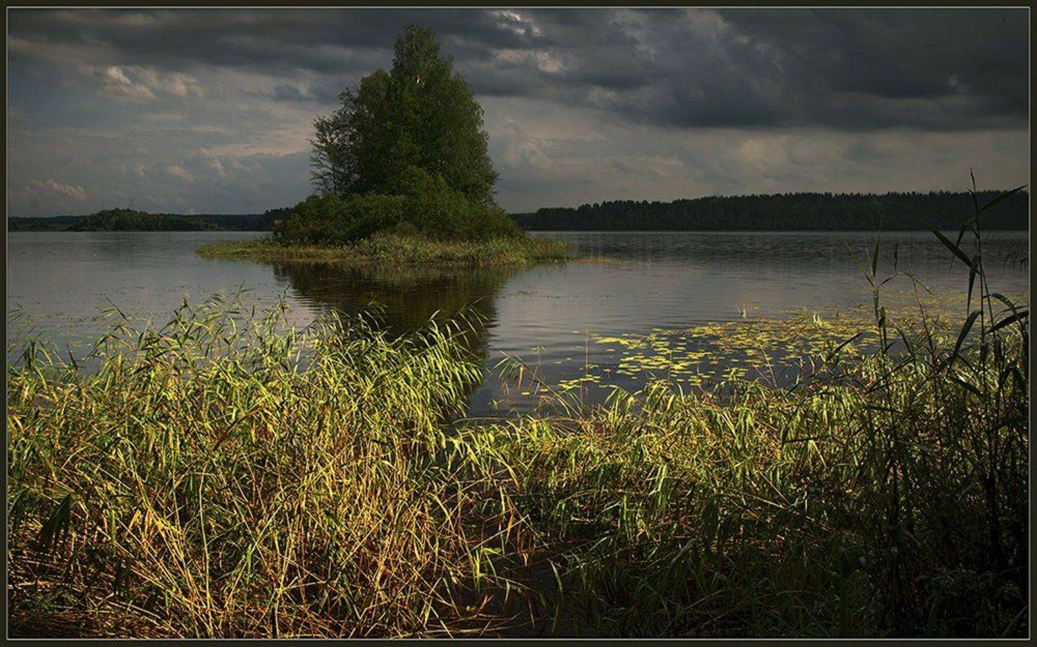 , Евгений Иванюшенко