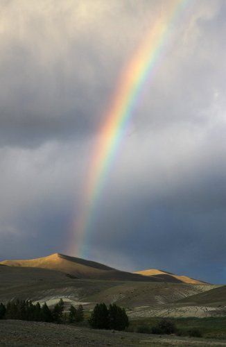 Вертикальный пейзаж