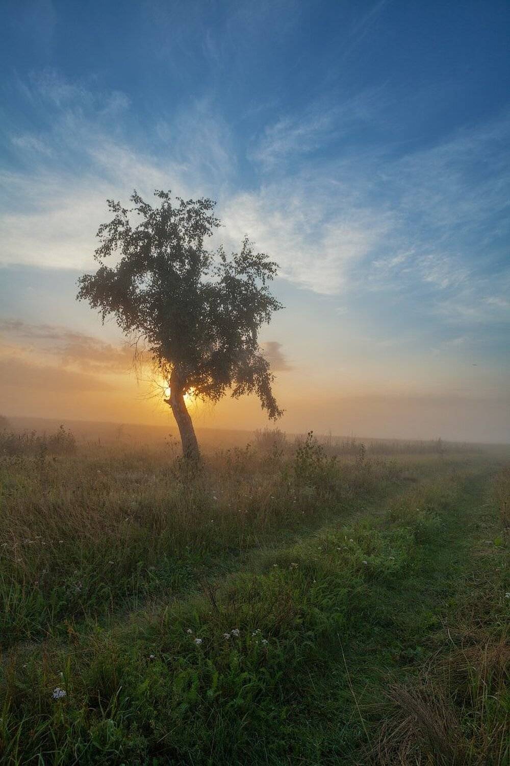 , Данил Ромодин