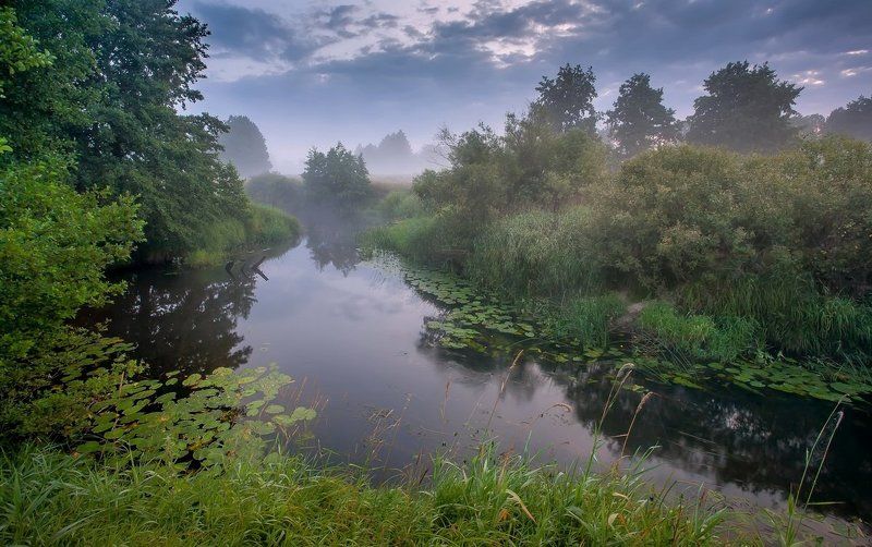 Радость утренней прохлады фото превью